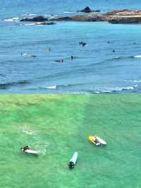 開車直達海邊這個露營地我願意再來10000遍