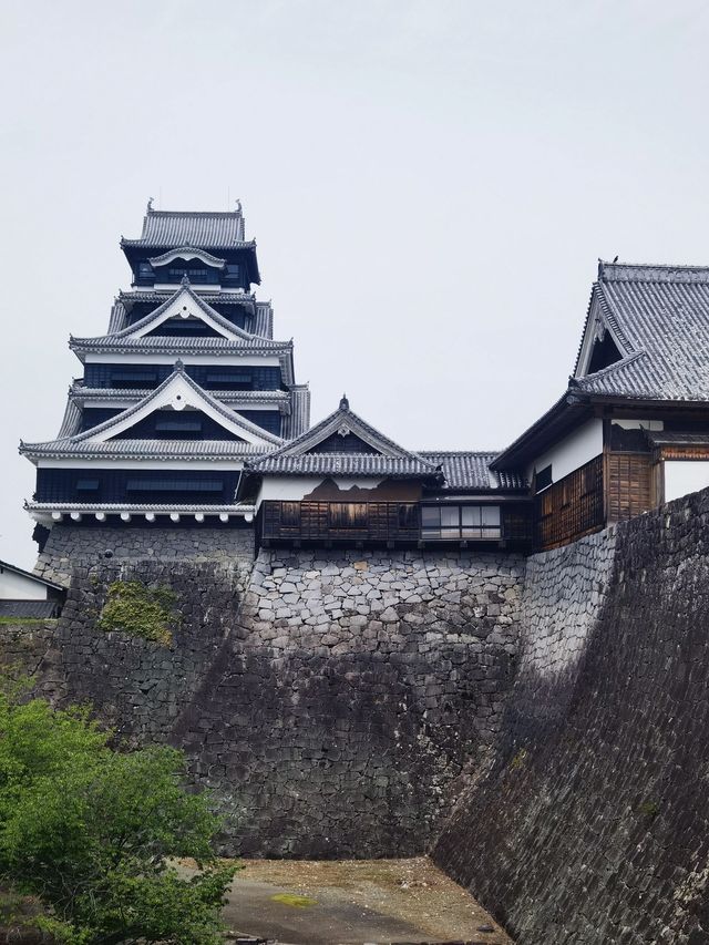 元旦遊日本 超美冬景等你來探索