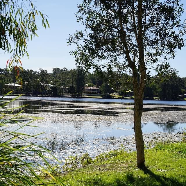 加拿大倫敦 | 傑克遜池塘與公園：城市中的寧靜綠洲