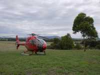 Fun day @ yarra valley