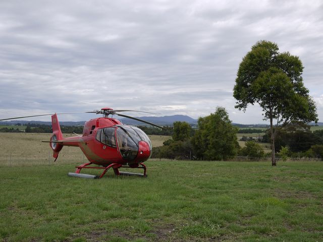 Fun day @ yarra valley