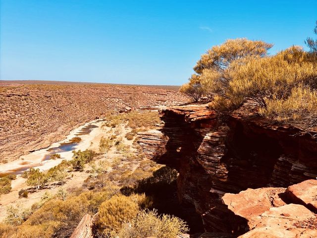 Kalbarri Natures Window! I see the world!😎🫣