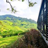 Tristan's Terrace at Boh Tea Center