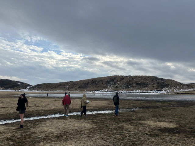 「草千里」：阿蘇火山地區的壯麗草原，四季風景、野生動物和戶外活動的天堂