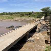 Where the two great wildlife parks meet 