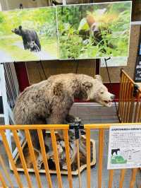 【北海道】旭川〜富良野〜占冠エリアの車旅の休憩におすすめ！