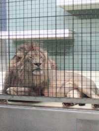 超大動物園～一次過看過夠