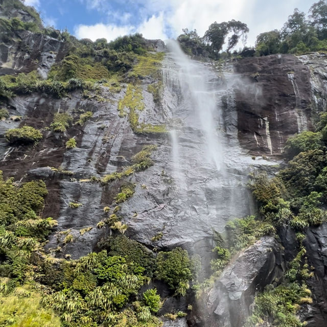 Best of Milford Sound