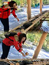 Ise Grand Shrine: A Sacred Journey and Japan’s Timeless Tradition