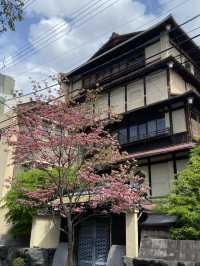 Gion District: Kyoto’s Timeless Beauty