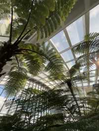 London Sky Garden: A View Like No Other