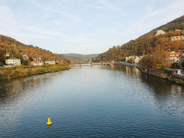 Heidelberg 성은 Neckar 강에서 