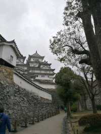 Himeji Castle 🏯