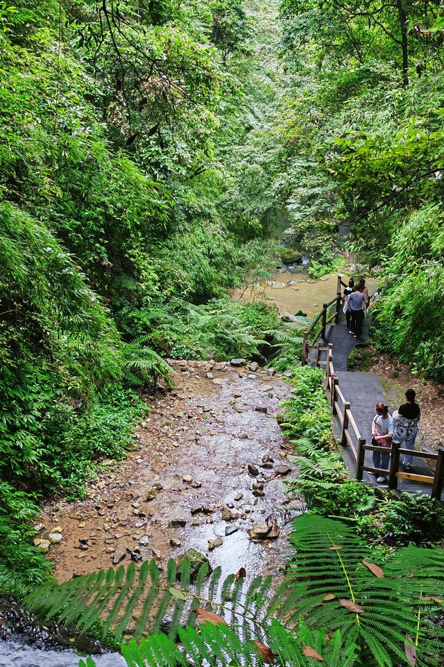 山野萬里|重慶黑山谷