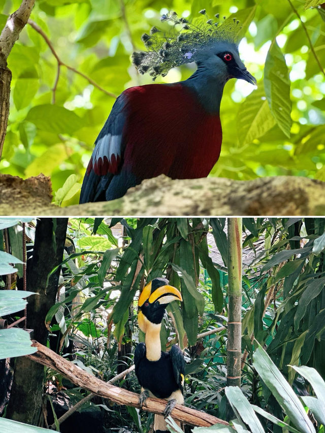 這家位於吉隆坡的酒店非常適合親子遊！緊鄰遊樂園和動物園～還有商場可逛