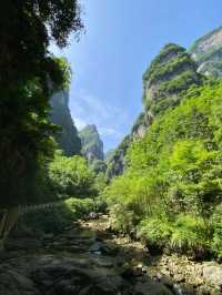 湖北秭歸三峽竹海