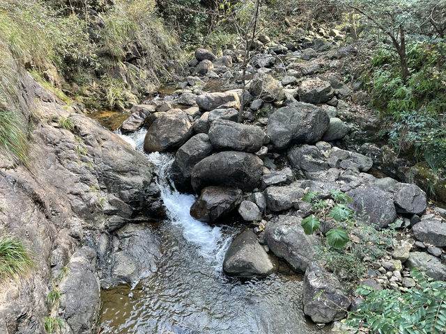 桐廬大奇山。