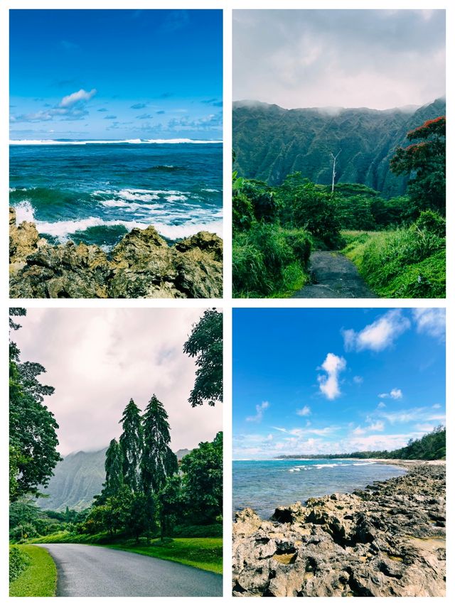 夏威夷可愛島，天然的火山地質公園