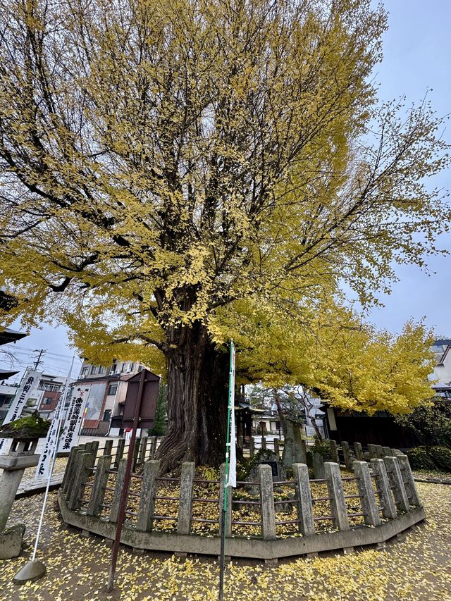 飛驒第一古剎一飛驒國分寺