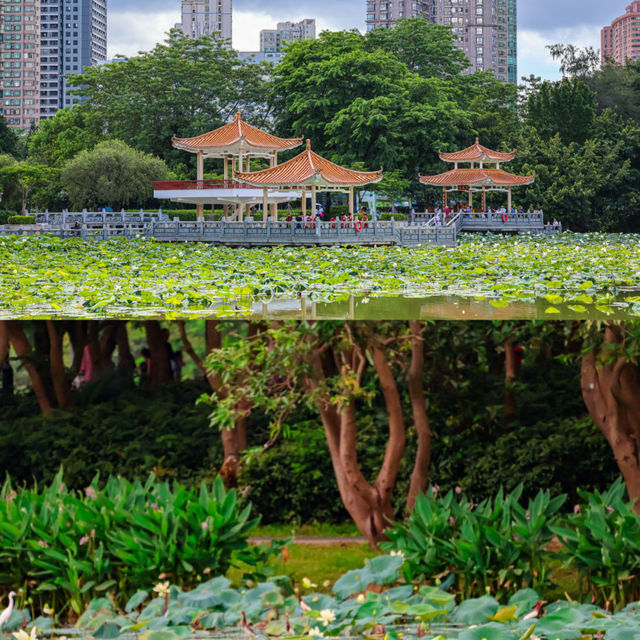 水墨畫中的城市綠洲