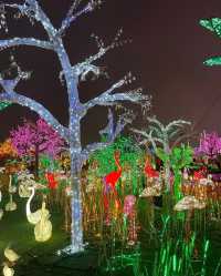 Exciting News: 50% Off Mississauga Illumi Light Show!