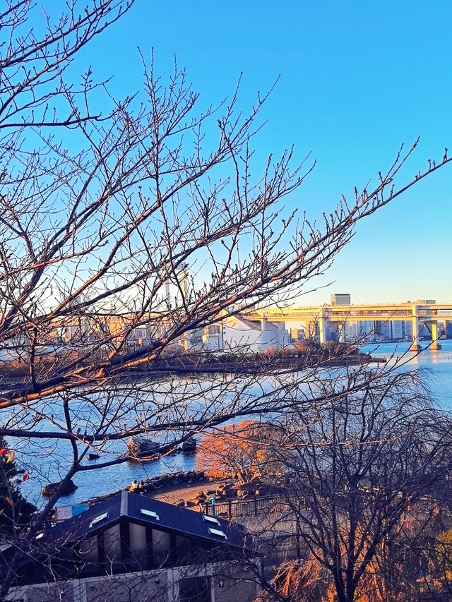 風景超棒的東京台場，是來日本東京的必打卡之地！