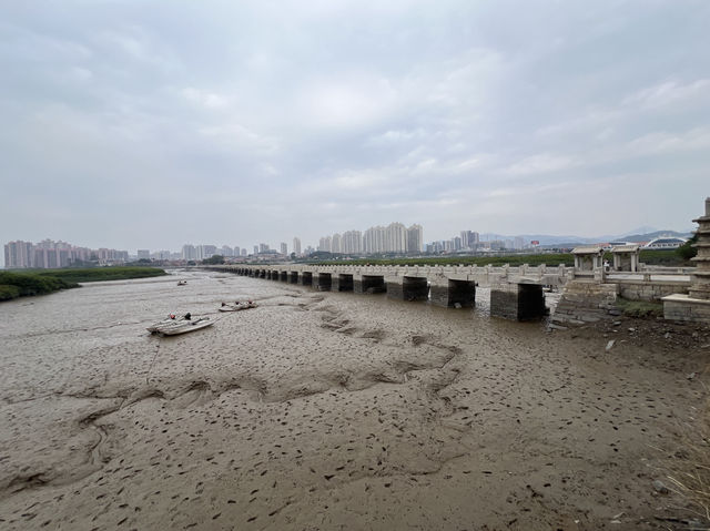 "蠔固橋基"之洛陽橋！