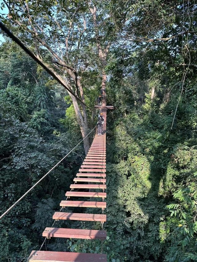 西雙版納叢林飛躍玩法