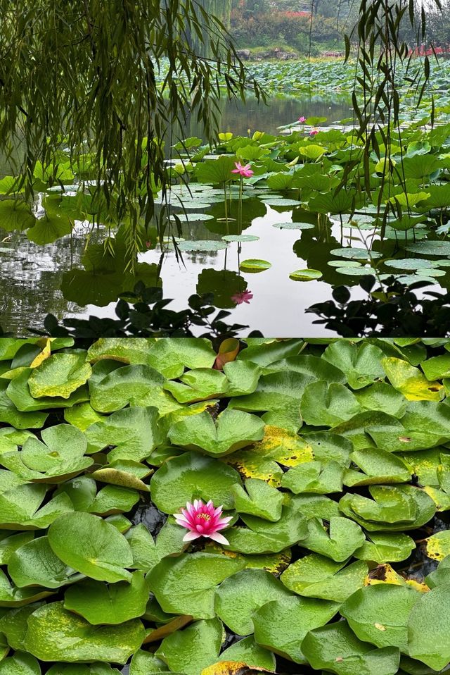 打卡好去處