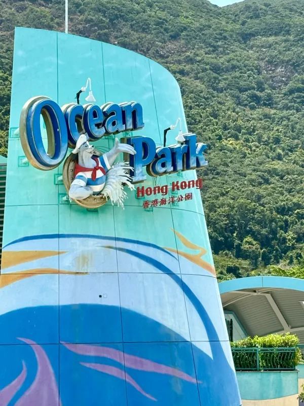 Discover the Thrills of Hong Kong's Ocean Park