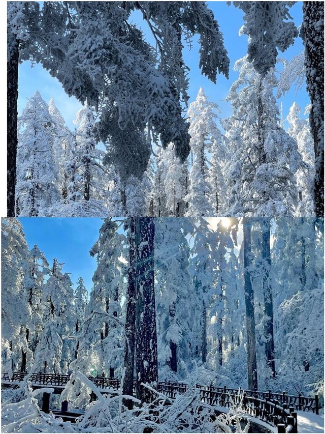 成都周邊玩雪怎麼選？ | 瓦屋山西嶺雪山