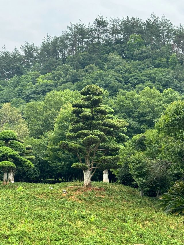 3日玩轉北京超實用攻略速覽