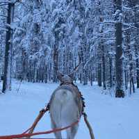 Recall the Christmas time in Helsinki and Santa Claus Village 