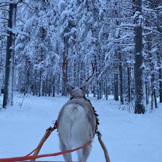 Recall the Christmas time in Helsinki and Santa Claus Village 