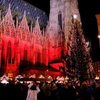 🇦🇹奧地利🇦🇹🎄🎄聖誕大街與市集🎄🎄