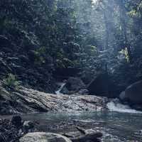 Nature's Hiking Adventure in the Cameron Highlands