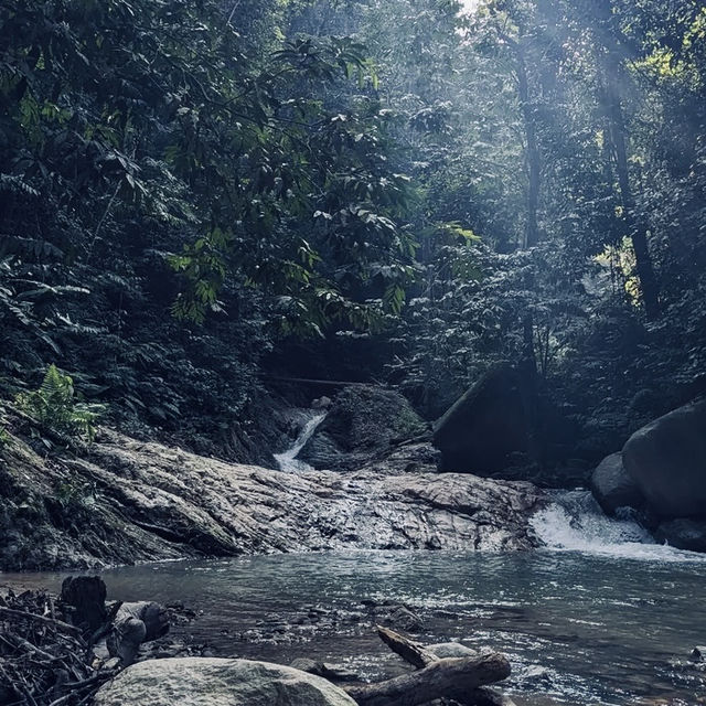 Nature's Hiking Adventure in the Cameron Highlands