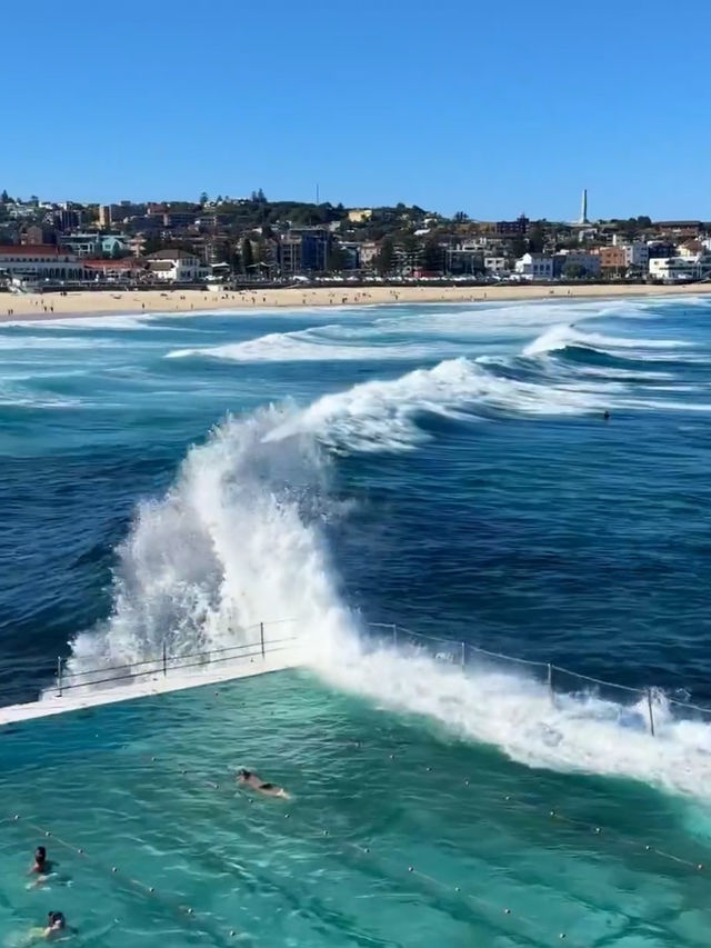 Chill at bondi beach