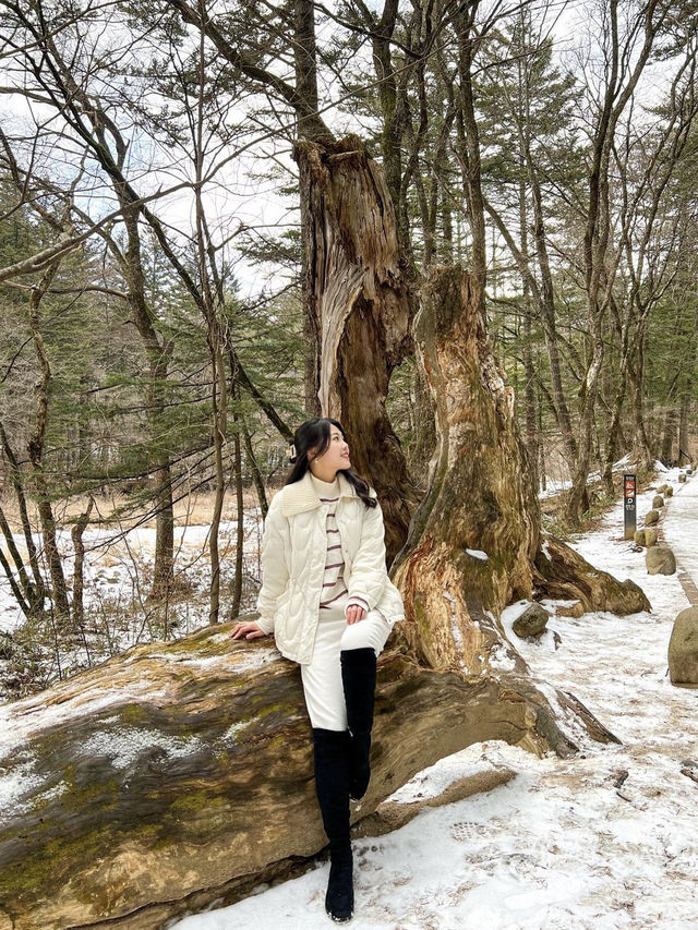 오대산 정기 받으며 월정사 힐링여행💚