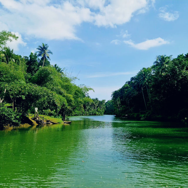 Discovering the Charms of Bohol