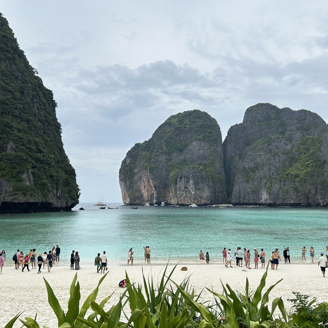 Maya bay Phiphi island 🏝️