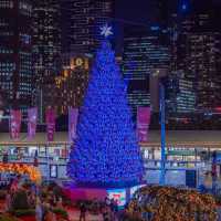 Melbourne’s Christmas Lights: A Night of Sparkle and Joy