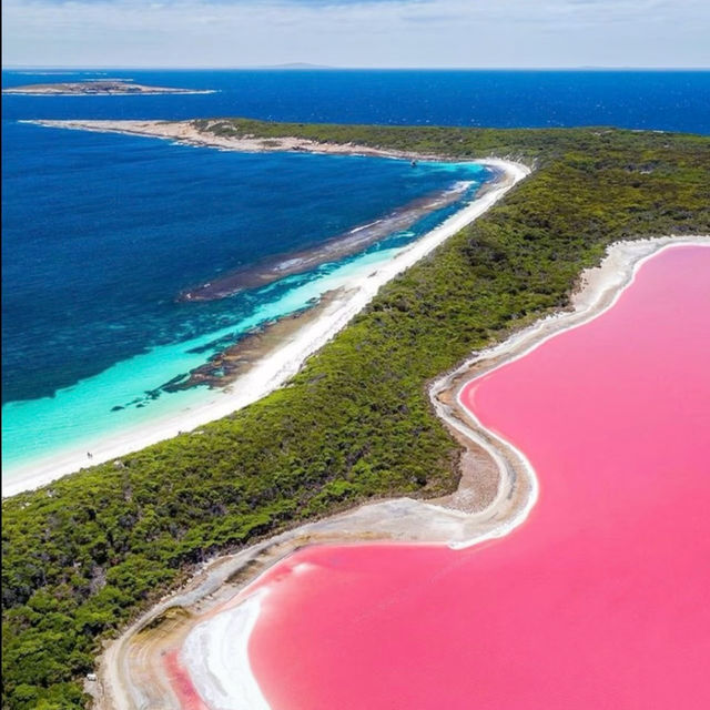 A Pink Paradise: Have You Seen the Stunning Lake Hillier in Perth??