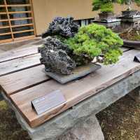 Omiya Bonsai Art Museum, Saitama 🗺️