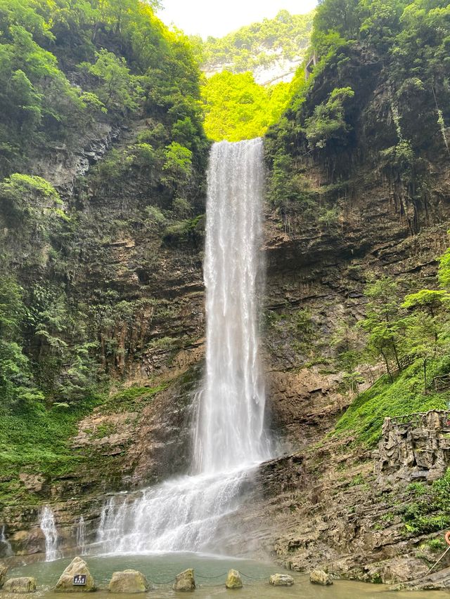 湖北秭歸三峽竹海