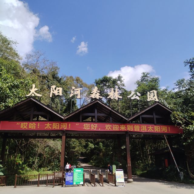 國家森林公園最自由的動物。