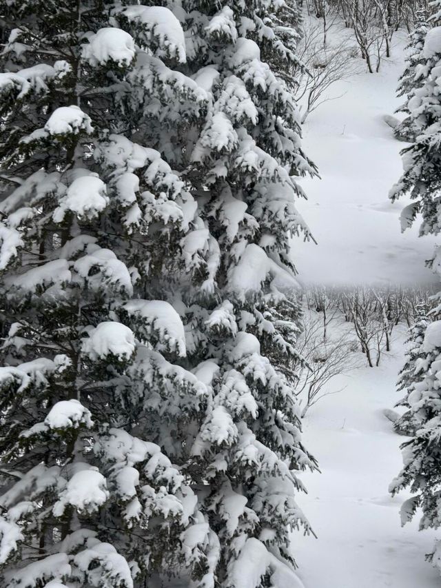 探秘雪谷，在寒冷的冬季，看到了冬日裡純淨世界