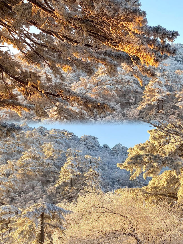 【冬日黃山】霧凇、雪景，感受冬日的美麗！