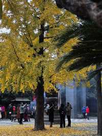 河南洛陽白馬寺  千年古剎