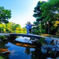 【金沢】冬だけじゃない！夏も美しい兼六園✨️